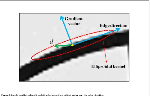 Figure 6 An ellipsoid kernel and its relation between the gradient vector and the edge direction.