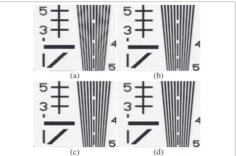Figure 3 Upscaled images obtained by varying the size of the Lanczos kernel. (a) Input image
