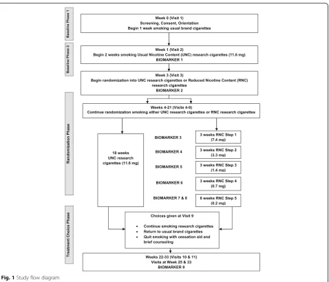 Fig. 1 Study flow diagram