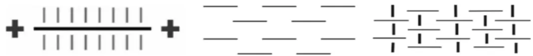 Figure 1 shows the behavior of the clays when dispersed in a fluid. When submitted to a forced flow, particles tend  to orientate according to the flow