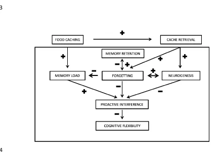 Figure 1. Hypothesized relationships among memory components thought to influence 