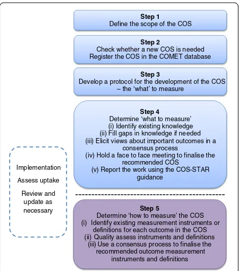 Fig. 1 The core outcome set (COS) development process