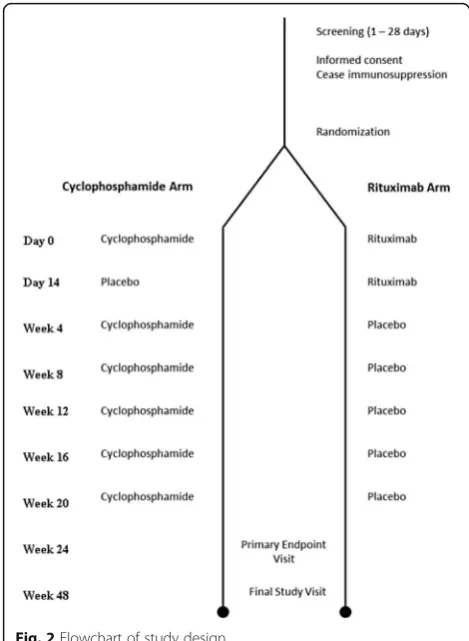 Fig. 2 Flowchart of study design