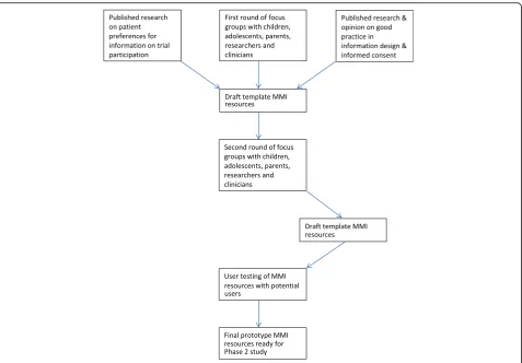 Fig. 3 Development of the multimedia information (MMI) resources