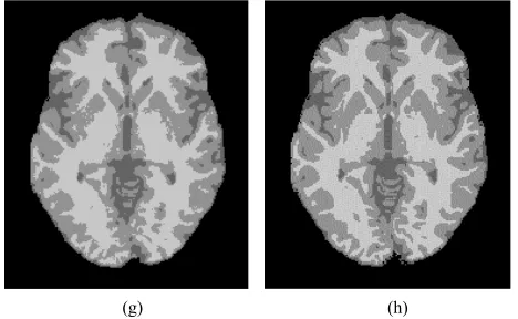 Figure 1(h)To test the proposed algorithm in this paper in dif-