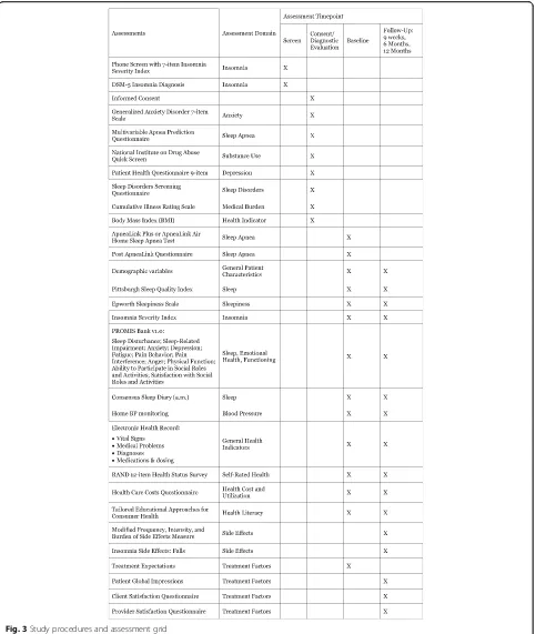 Fig. 3 Study procedures and assessment grid