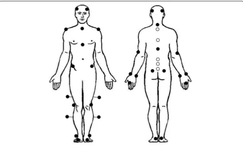 Fig. 2 Plug-In-Gait model (black) and spine model (white)