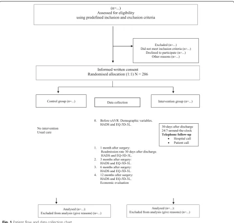 Fig. 1 Patient flow and data collection chart