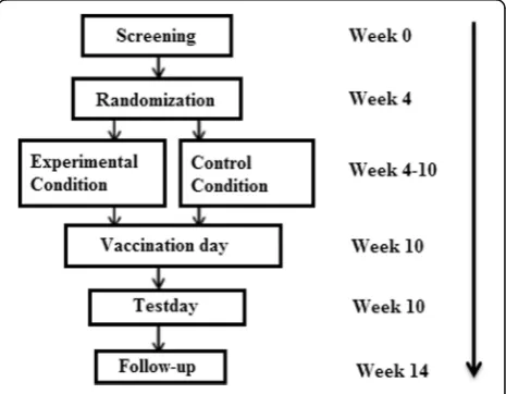 Fig. 1 Flowchart of the study design