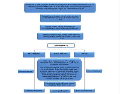 Fig. 1 Flow diagram of study design