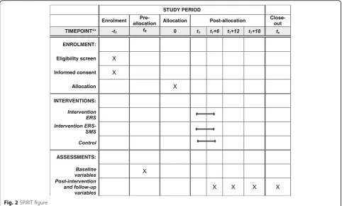 Fig. 2 SPIRIT figure