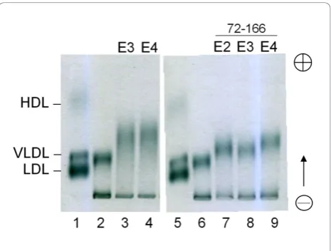 Figure S2 and Table S2). The lipid association is