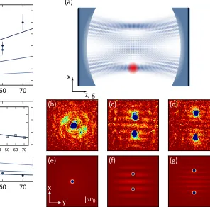FIG. 8. Manifestation of the non-local interaction D(a) Illustration of the hourglass structure in the supermodeﬁeld (blue) when populated by photons scattered into theconfocal cavity from the BEC (red)