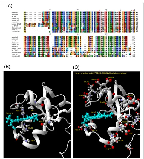 Figure 1 Alignment of amino acid sequences of cytochrome(His44 and His68) are indicated