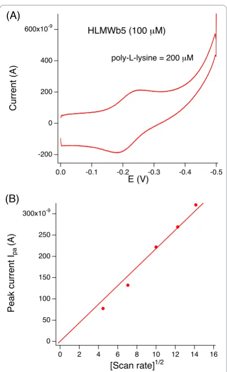 Figure 3 Cyclic voltammogram of HLMWphosphate buffer pH 7.0modified withHLMWpeak current Iwas obtained in the presence of 200potential shown isinternal filling solution of 3 M KCl saturated with AgCl (mVb5 in 50 mM sodium
