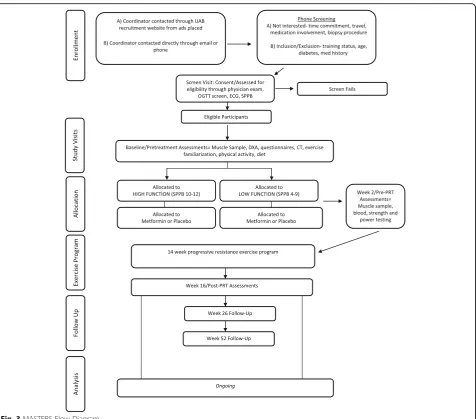 Fig. 3 MASTERS Flow Diagram