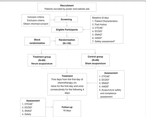 Fig. 1 Project overview. The safety assessment comprises a routine blood test, routine urine test, routine feces test, kidney function test, liverfunction test, and electrocardiogram