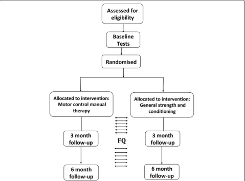 Fig. 1 Trial flowchart outlining participant testing and intervention duration. Fortnightly questionnaires (indicated by FQ; depressive symptoms,pain, Positive and Negative Affect Schedule (PANAS)) are emailed throughout study