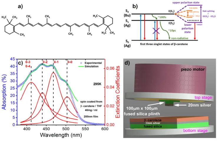 Fig. 1. Part (a) shows the chemical structure of β-carotene. Part (b) shows a simplified energy-level diagram of the electronic states of βelectronic transitions