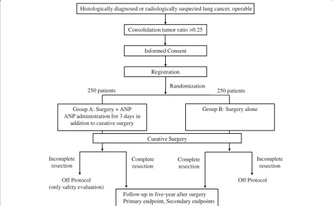 Fig. 1 Consolidated Standards of Reporting Trials (CONSORT) flowchart. ANP Atrial natriuretic peptide