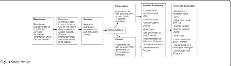 Fig. 3 Study design