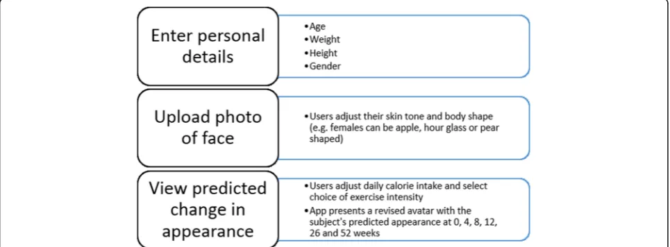 Fig. 1 Features of the Future Me App (minimum viable product: MVP)