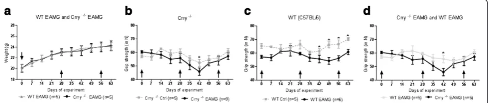 Figure 1 a, b, c, d. Deficiency of Crry −/− did not alter extensively the clinical outcome of EAMG