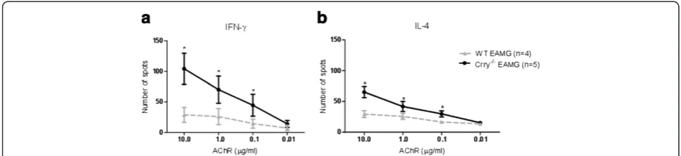 Figure 5 Deposition of C3, C3b/iC3b and C5b-9 (MAC) is similarat the NMJs of WT EAMG and Crry −/− EAMG mice