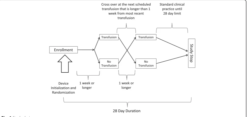 Fig. 1 Study design