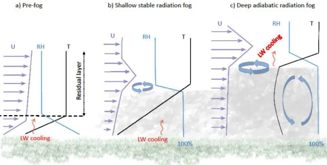 Table 2. Formation, stability transition and dissipation time for the IOP1 relative humidity  perturbation sensitivity experiments