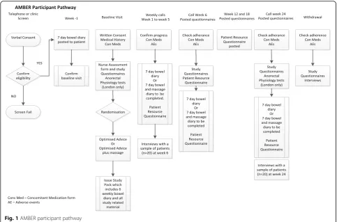 Fig. 1 AMBER participant pathway