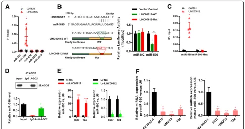 Fig. 4 LINC00612showing the putative served as a molecular sponge for miR-590. a Biotinylated miRNA were transfected into T24 cells