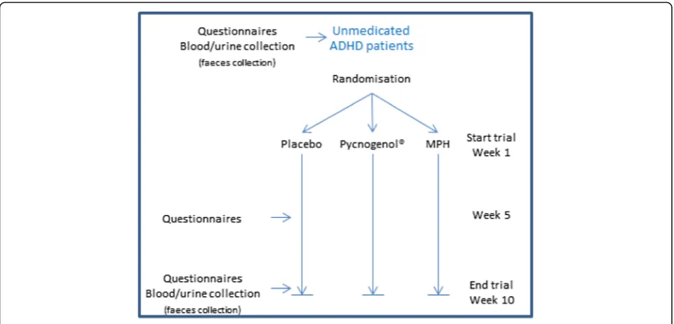 Fig. 1 Design of the trial