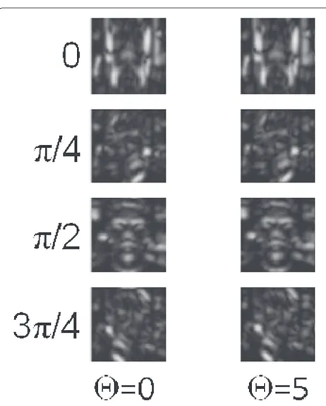 Figure 5 A model facial image with 60the magnitude of the Gabor feature×60 pixels, called the M0.Gabor features are extracted for nodes of a square graph without anyvertexes on image M0
