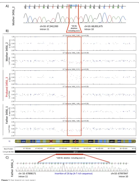 Figure 1 (See legend on next page.)