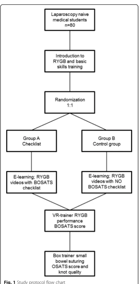 Fig. 1 Study protocol flow chart