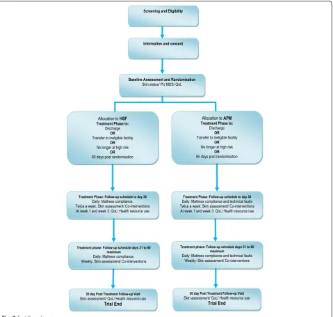 Fig. 2 Trial flow diagram