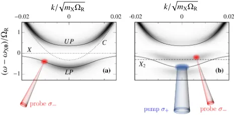 FIG. 1. Spectroscopic signature of a two-point many-bodycorrelated state in the probe photon transmissionResonant coupling to a biexciton (text and [the absence of pumping.polaritons are shown as solid lines, while the dotted lines cor-respond to the bare 