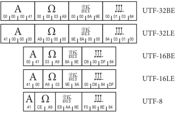 Figure 2-12.  Unicode Encoding Schemes