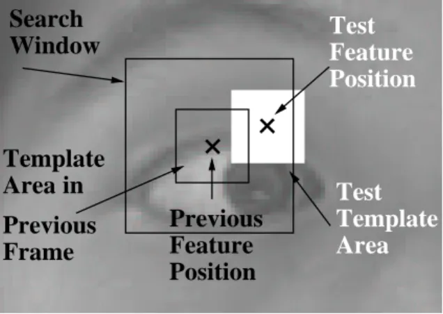 Figure 4: The search window is shown as a large square. It is centered around the estimated location of the feature in the previous frame