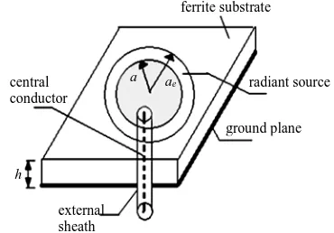 Figure 1. Schematic diagram of microstrip circular patch antenna.  
