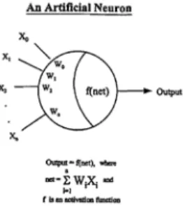 Figure 2: The structure of the artificial neurons 
