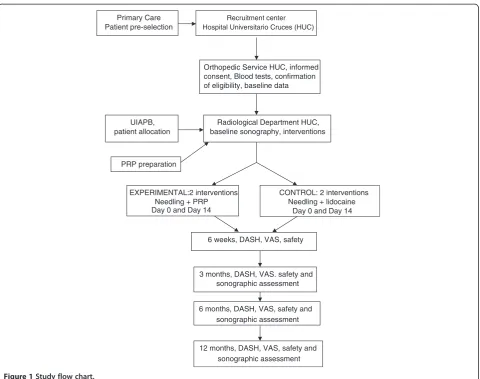Figure 1 Study flow chart.