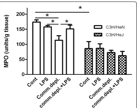 Figure 1 Commensal depletion decreased E.coli pneumonia-induced MPO activity of lung and LPS supplementationreversed it in C3H/HeN mice but not in C3H/HeJ mice (n = 6per group)