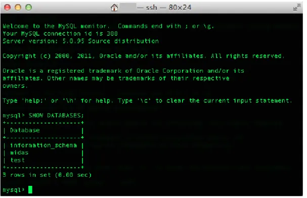 Figure 3.12: Using MySQL® databases via the command line client tool