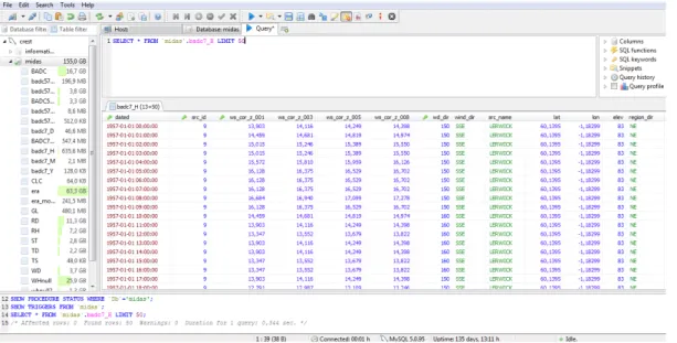 Figure 3.13: Using HeidiSQL in order to provide an overview of the databases running within the developed RDBS.