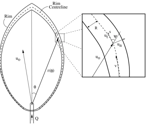 Figure 3: A schematic illustration of a fluid sheet bound by stable rims.