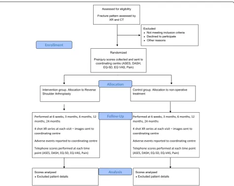 Fig. 1 Consolidated Standards of Reporting Trials (CONSORT) flowchart