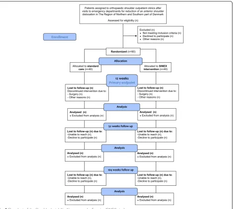 Fig. 1 Flowchart of the Shoulder Instability Neuromuscular Exercise (SINEX) study