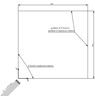 Figure 4.13: Solution domain and boundary conditions for the convection transport case